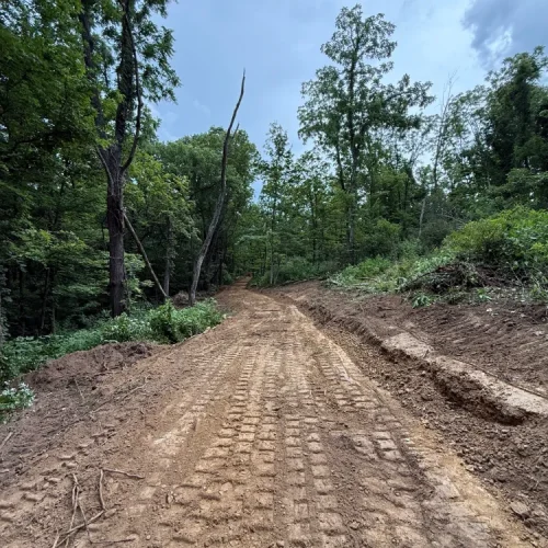 Land and Lot Clearing Slider Images Frame 1